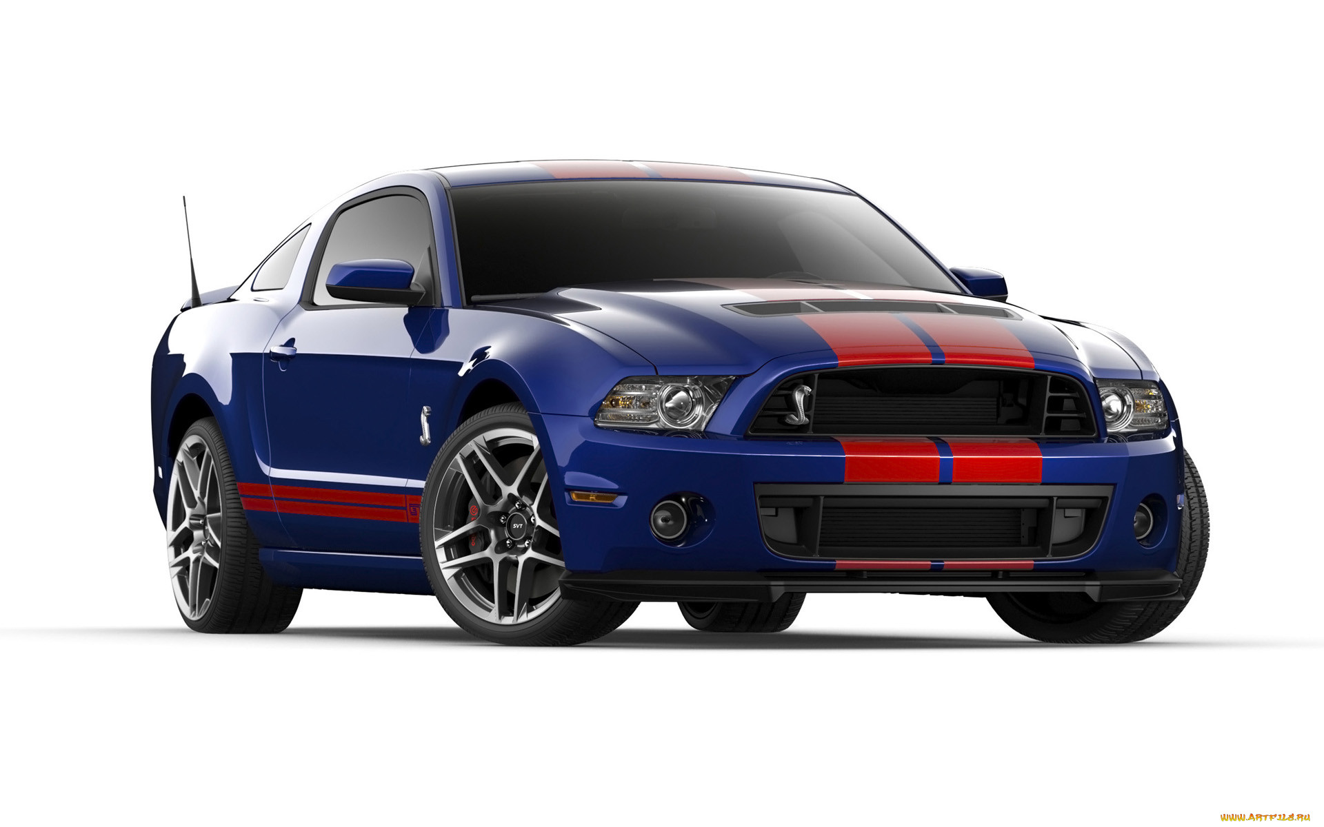 , mustang, ford, shelby, gt500